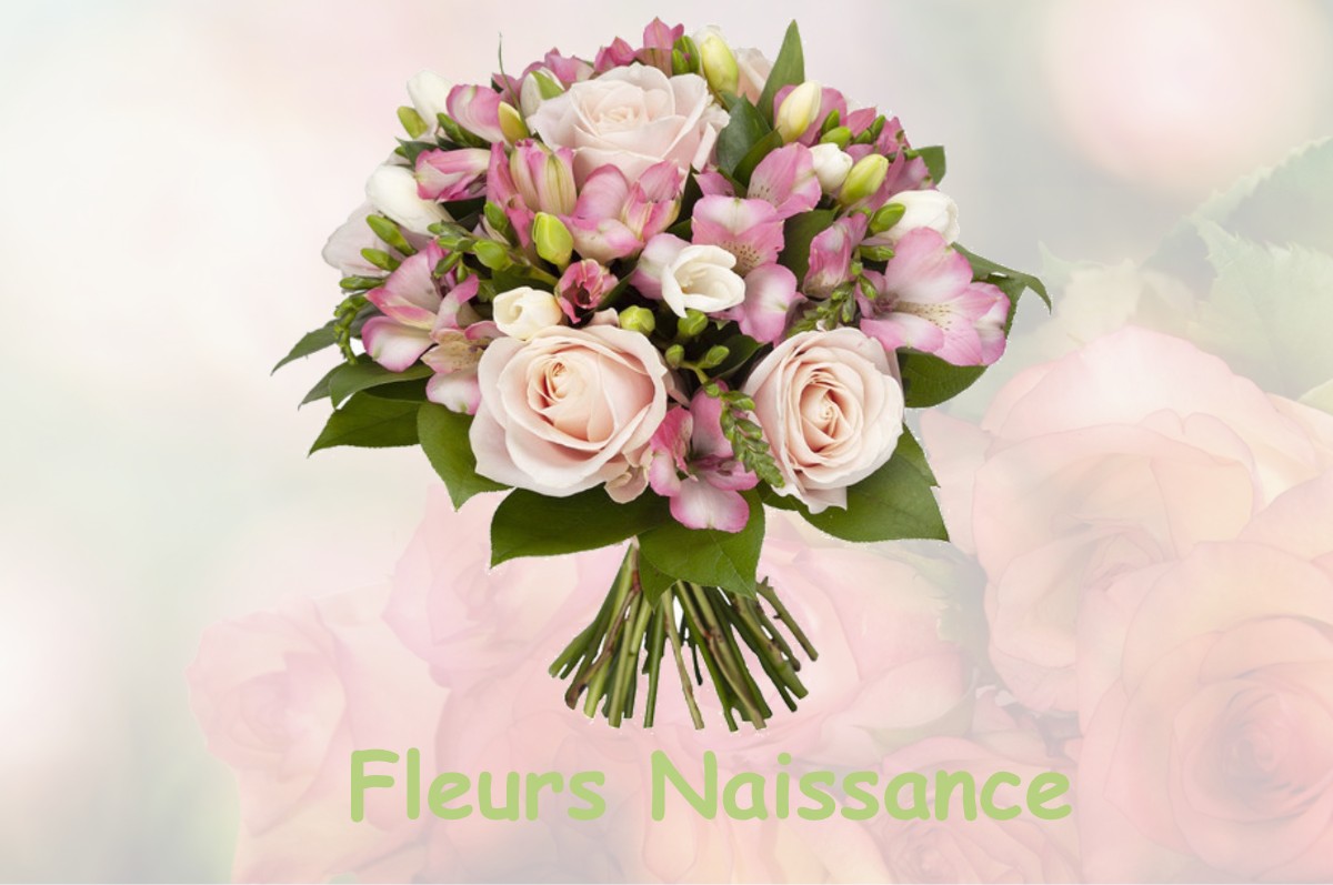 fleurs naissance SAINT-MELAINE-SUR-AUBANCE